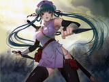 Ninja And Blind Girl 2