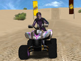Racing Quads