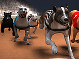 Mad Dog Race