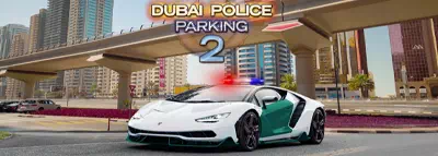 Dubai Police Parking 2