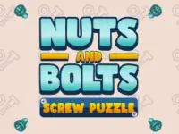 Nuts And Bolts Screw Puzzle
