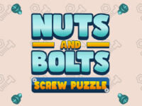 Nuts And Bolts Screw Puzzle