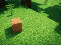 Voxel Frontier