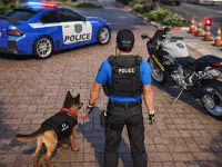 Police Car Chace Game